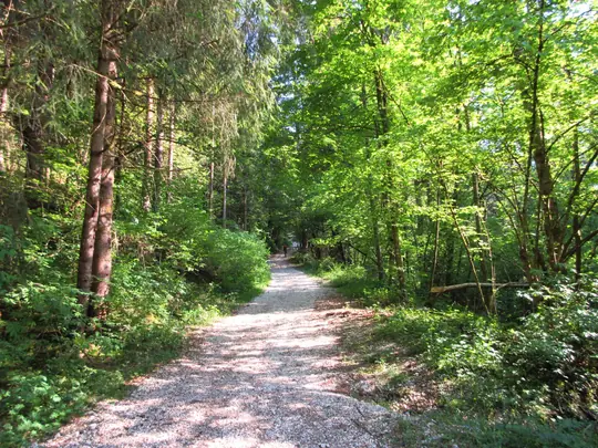 Strada della Sbarra
