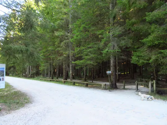 Ingresso del percorso didattico della Val di Nos a Gallio