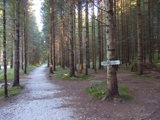 Sentiero didattico nel bosco della Val di Nos