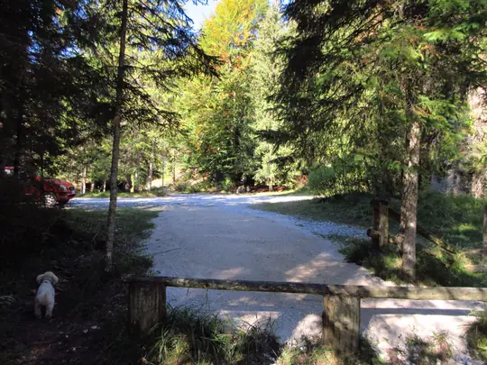 Uscita del percorso didattico sulla strada della Val di Nos