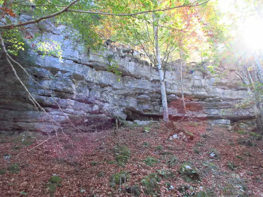 Affioramenti rocciosi lungo la strada forestale