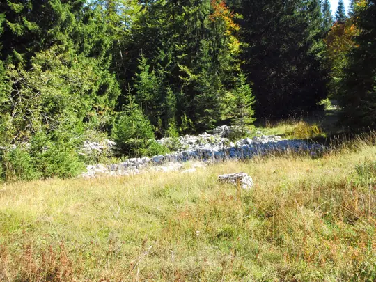 Resti di murature militari nel bosco