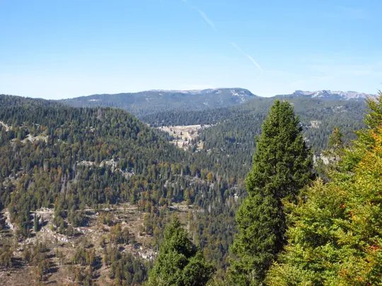 Vista sulla Val di Nos e sul Monte Zebio dal Monte Cimon