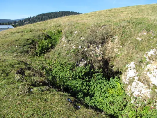 Resti di trincee della Grande Guerra nei pascoli del Monte Baldo