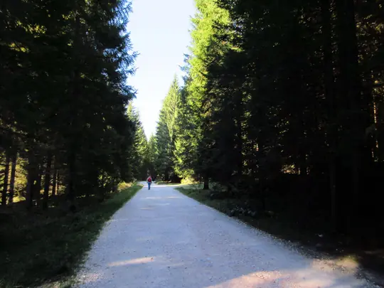 Ultimo tratto nel bosco verso l'area attrezzata della Val di Nos