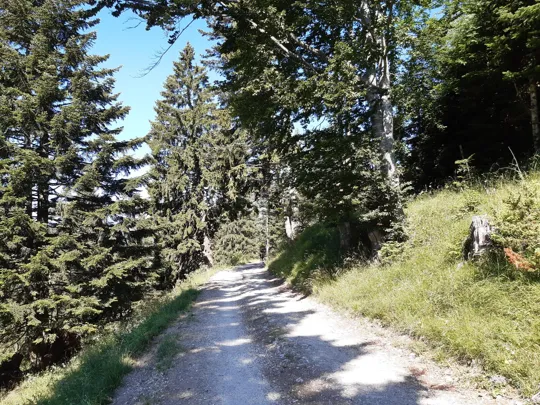 Strada della Baita Cangi