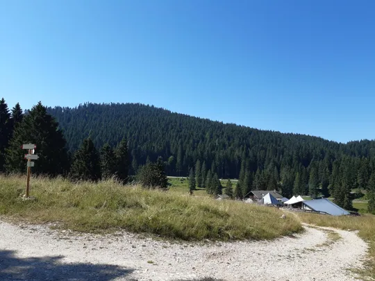 Deviazione verso malga Palù