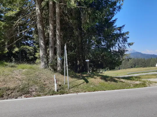 Punto di attraversamento della strada