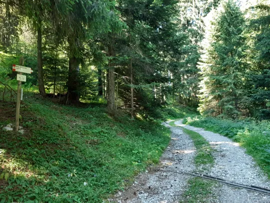 Dettaglio della strada dopo la pista da sci