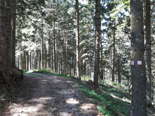 Dettaglio del percorso