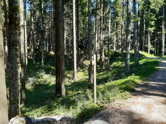 Punto di uscita dalla strada