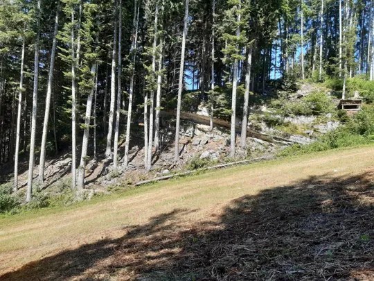 Attraversamento della pista da sci