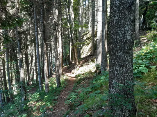 Dettaglio del sentiero