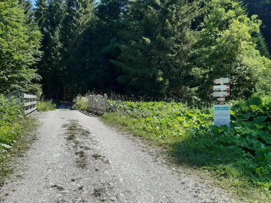 Dettaglio del percorso