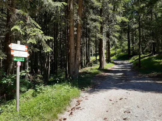 Dettaglio del percorso