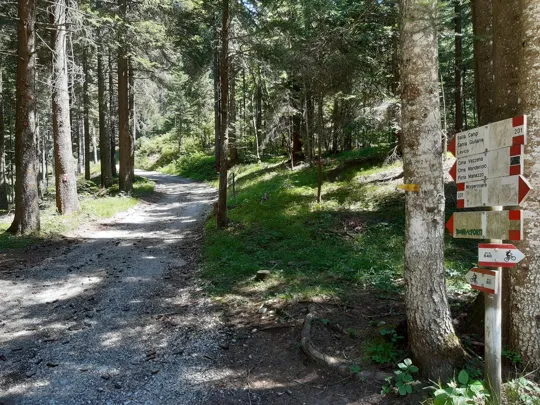 Dettaglio del percorso