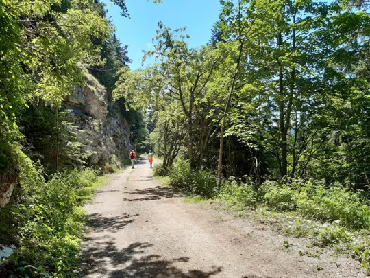 Dettaglio del percorso