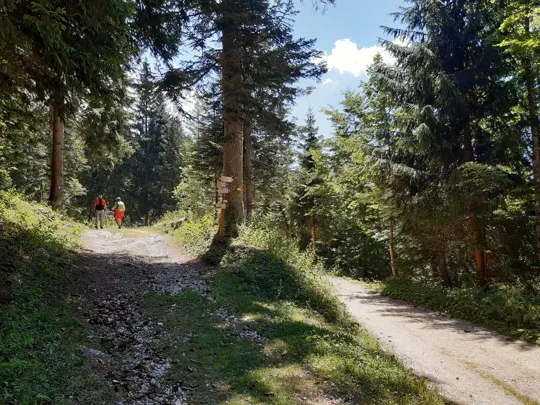Incrocio, prendere la strada a sinistra