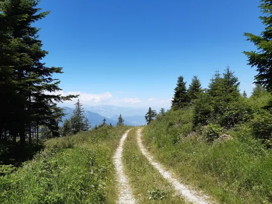 Verso il punto panoramico