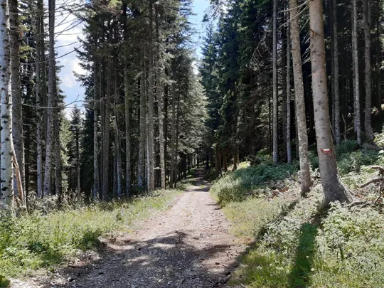 Dettaglio del percorso