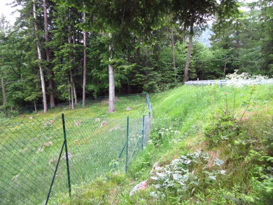 Dettaglio del sentiero sotto alla strada