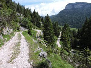 Strada verso monte Zoviello