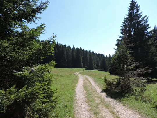 Dettaglio del percorso