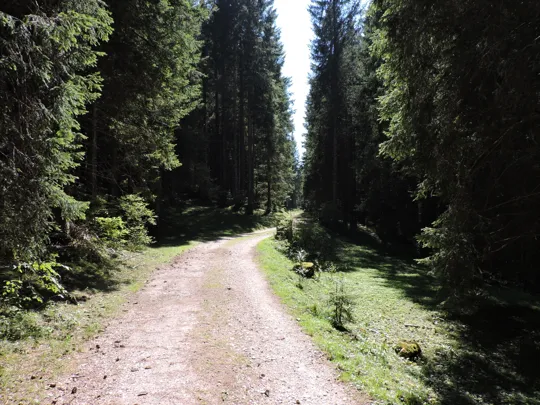 Dettaglio del percorso