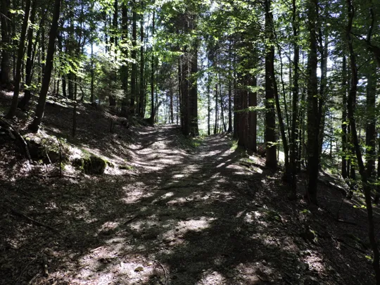 Incrocio, proseguire a destra