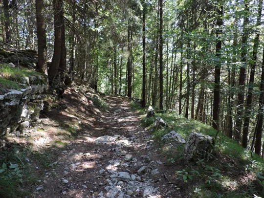 Dettaglio del percorso