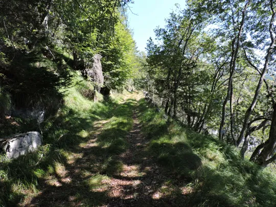 Strada verso il baito