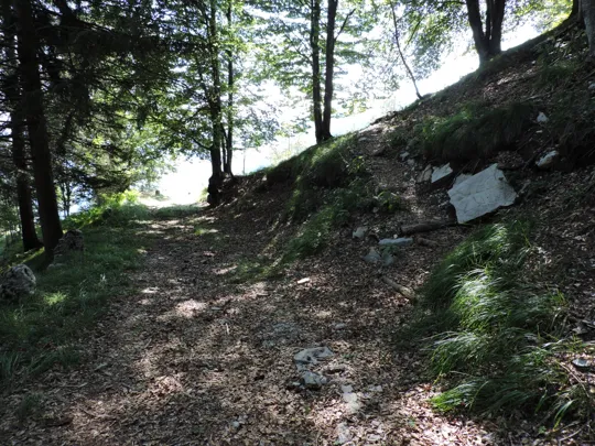 Inizio del sentiero verso il baito