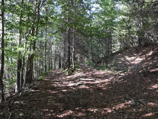 Dettaglio dell'incrocio