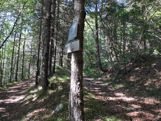 Dettaglio dell'incrocio