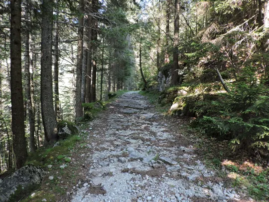 Dettaglio del percorso