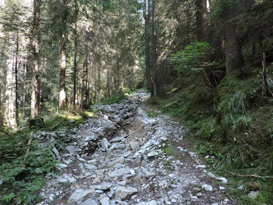 Strada trasformata in torrente