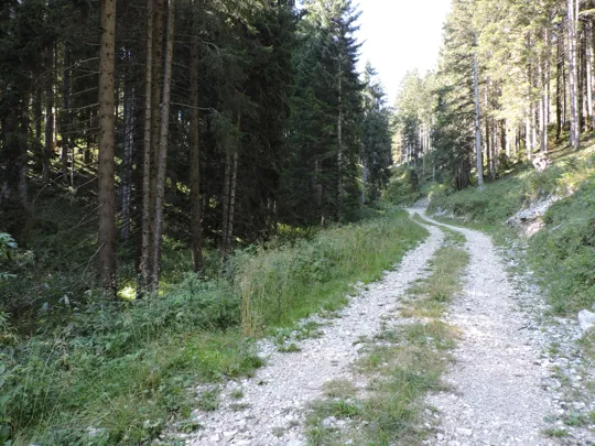 La strada verso malga Campo Posellaro