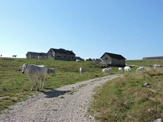 Malga Campo Posellaro