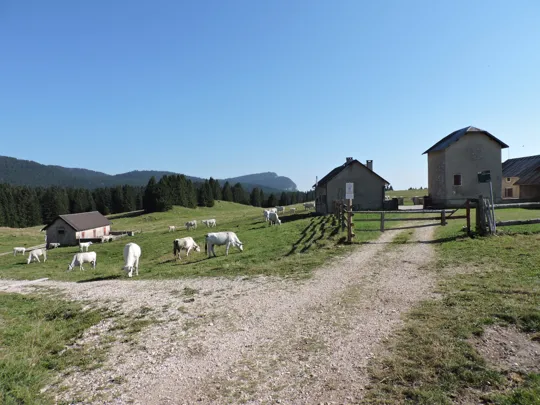 Malga Campo Posellaro