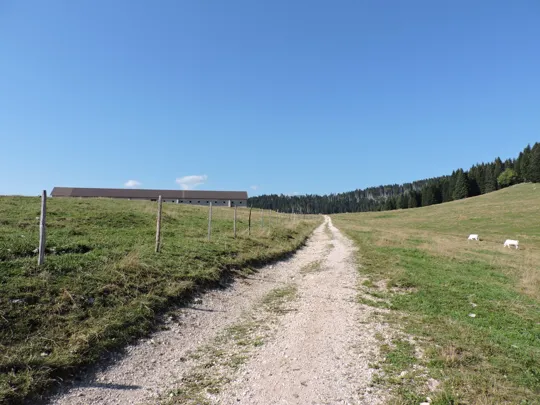 Dettaglio della strada