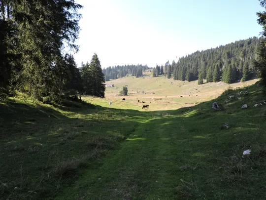 In discesa verso il punto di partenza