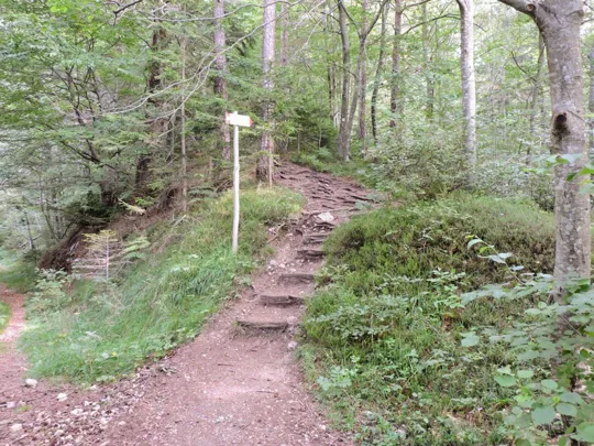 Becco di Filadonna - Sentiero