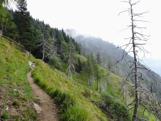 Becco di Filadonna - Sentiero