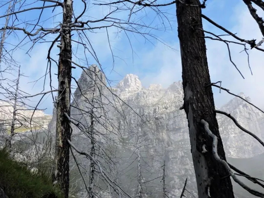 Becco di Filadonna - Bosco bruciato