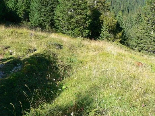 Bocca di Forno - Trincee