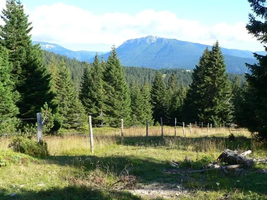 Bocca di Forno - M.Verena