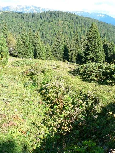 Bocca di Forno - Trincee