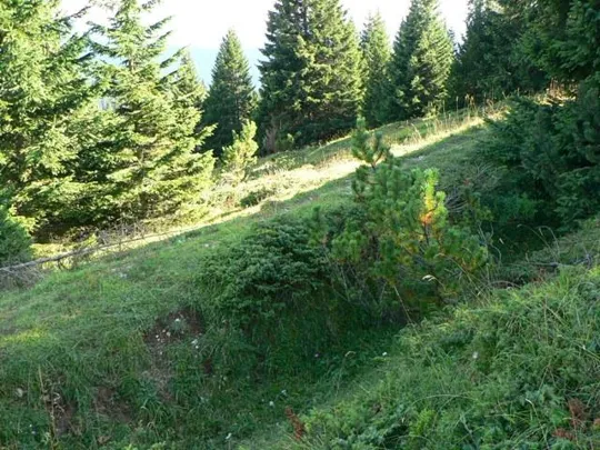 Bocca di Forno - Trincee