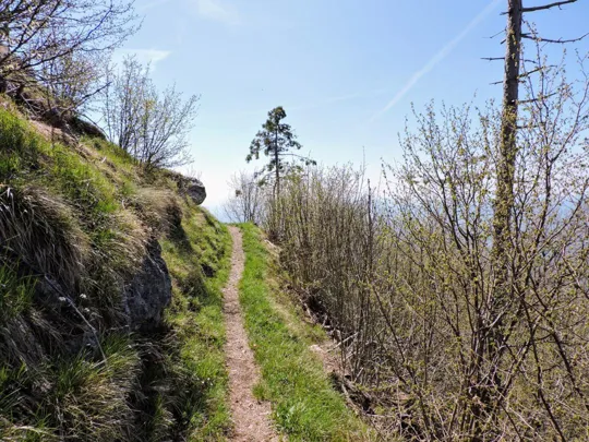 Sentiero dei forestali