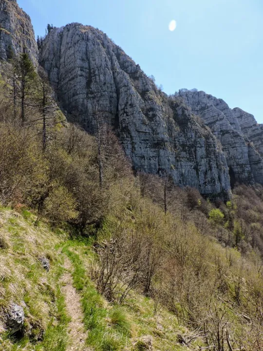 Sentiero dei forestali - Pendici del monte Favaro